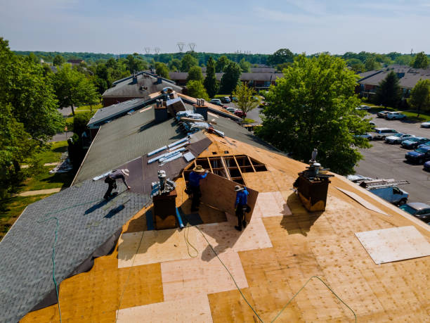 Best Roof Waterproofing Services  in Throop, PA
