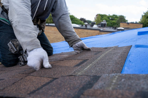 Best Commercial Roofing Services  in Throop, PA