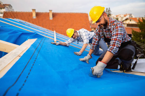 Best Affordable Roof Replacement  in Throop, PA