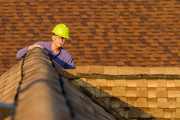 Roof Gutter Cleaning in Throop, PA